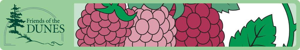 Friends of the Dunes