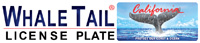 Whale Tail Logo